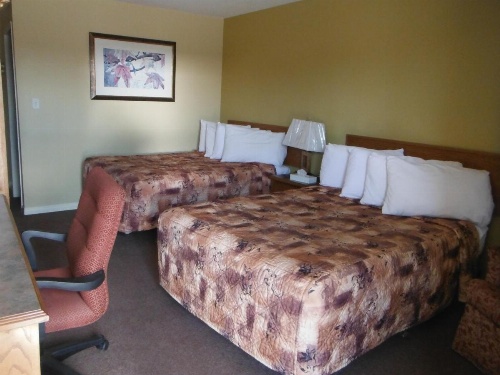 Tumbler Ridge Inn image 11